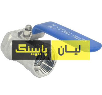 شیر گازی استنلس استیل 1000 وگ ساکت ولد دو تیکه استنلس استیل 304 اروپایی